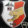 143rd Tank Battalion img9276
