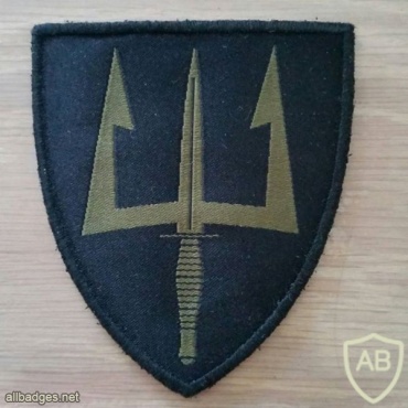 Norway Joint HQ Special Forces patch img9318