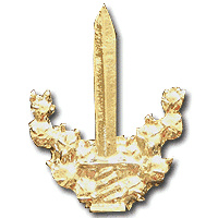 432nd Tzabar battalion - Golden img9323