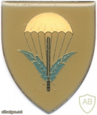 CISKEI Ikhele we Sizwe (Sword of Nation) Special Forces Unit parachutist arm flash img9400