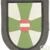 AUSTRIA Army (Bundesheer) - Landwehrstammregiment 54 sleeve patch img9405