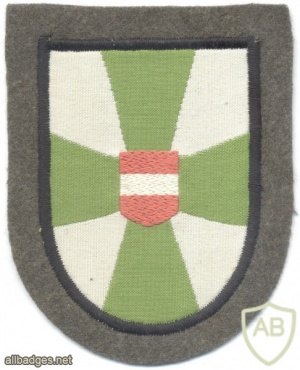 AUSTRIA Army (Bundesheer) - Landwehrstammregiment 54 sleeve patch img9405