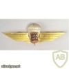Estonian para wings, silver img9394