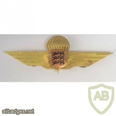 Estonian para wings, gold img9393