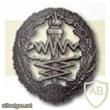 Estonia signal corps cap badge img9410