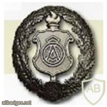 Estonia army educational center cap badge img9413