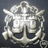 Estonia coastal defence cap badge