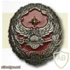Estonia intelligence corps cap badge img9418