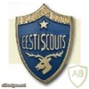 Estonia Scouts battalion cap badge img9427