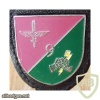 9th Army Aviation Squadron badge, type 2