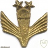 AFGHANISTAN Parachutist wings, Class 2, type I