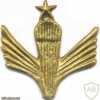 AFGHANISTAN Parachutist wings, Class 3, type I