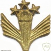 AFGHANISTAN Parachutist wings, Class 1, type I
