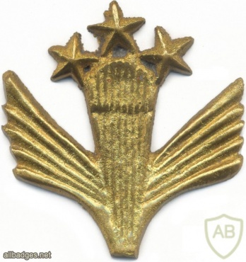 AFGHANISTAN Parachutist wings, Class 1, type I img9567