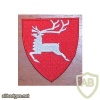 6th Division Norway army patch