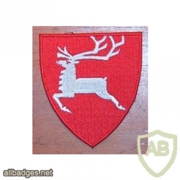 6th Division Norway army patch img9545