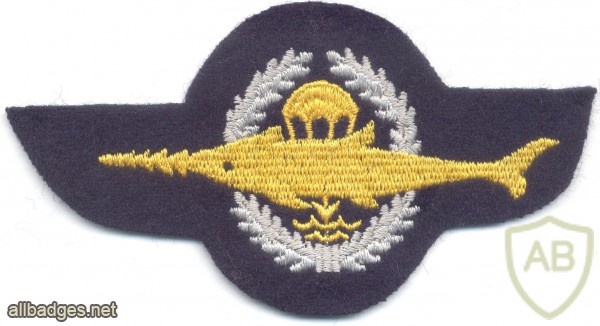 GERMANY Combat Swimmer (Kampfschwimmer) qualification badge, Class II, cloth img9506