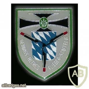 8th Mountain Army Aviation Squadron badge, type 2 img9534