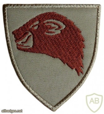 Panserbataljonen patch, copy img9561