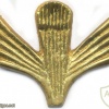 AFGHANISTAN Parachutist wings, Class 4, type I