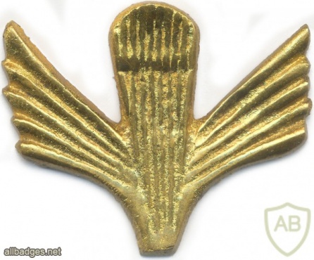 AFGHANISTAN Parachutist wings, Class 4, type I img9563