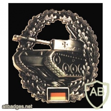 Armor corps cap badge img9605