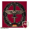 Army aviation cap badge