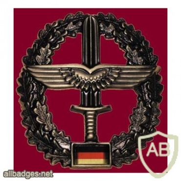 Army aviation cap badge img9608