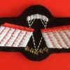 NETHERLANDS Army DT 2000 Parachutist Brevet D HAHO/HALO Oxygen wings, full color img9670