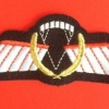 NETHERLANDS Army DT 2000 Operational free fall wings, full color img9678