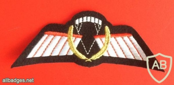NETHERLANDS Army DT 2000 Operational free fall wings, full color img9678