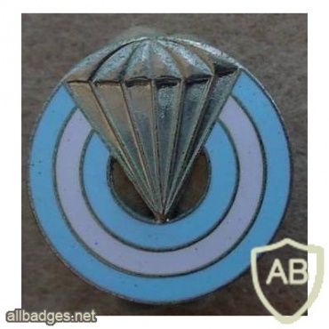 Argentina Paratrooper beret badge, silver img9745