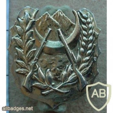 Algeria National Army cap badge img9720