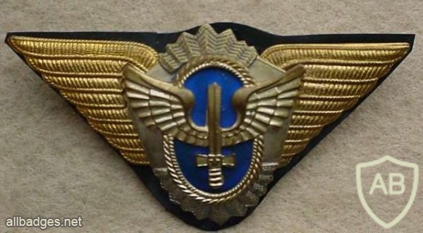 Argentinian Air Force Officiers cap badge img9747