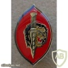 Angola Special Forces beret badge img9726