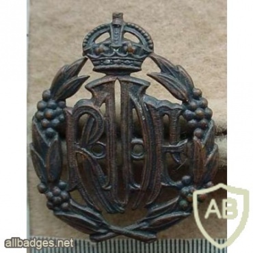 Royal Australian Air Force cap badge img9770