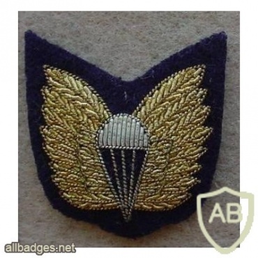 Royal Australian Navy paratrooper cloth wings, winter dress, mess dress img9780