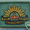 Australian Army arm patch, rectangular img9786