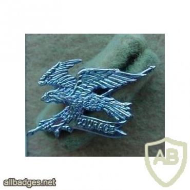 2nd Australian Cavalry Regiment collar badge img9794