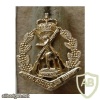 Royal Australian Regiment collar badge