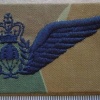 Australia Parachute Jump Instructor wing, camo dress 2 img9884