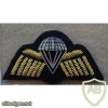 Australian Army paratrooper wings, mess dress, black 2