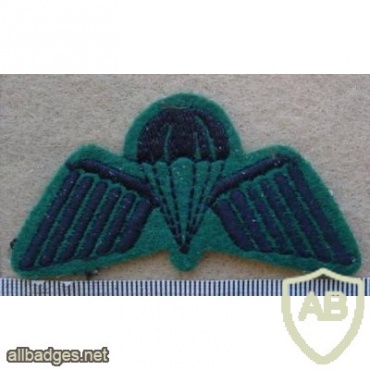Australia Commandos paratrooper wings, winter dress img9867