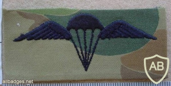3 Royal Australian Regiment paratrooper wings, camo dress img9861