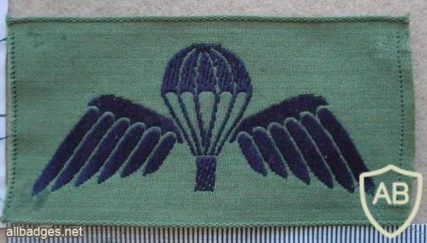 Australian Army paratrooper wings, summer dress img9874