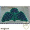 Australia Commandos paratrooper wings, summer dress img9865