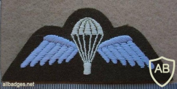 Australia Army paratrooper wings img9864