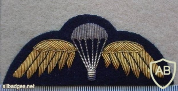 Australian Army Pipes and Drums Bandsmen paratrooper wings img9875