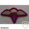 Royal Australian Regiment paratrooper wings, mess dress 2 img9863
