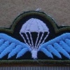 Australian paratrooper wings, made in Thailand img9872